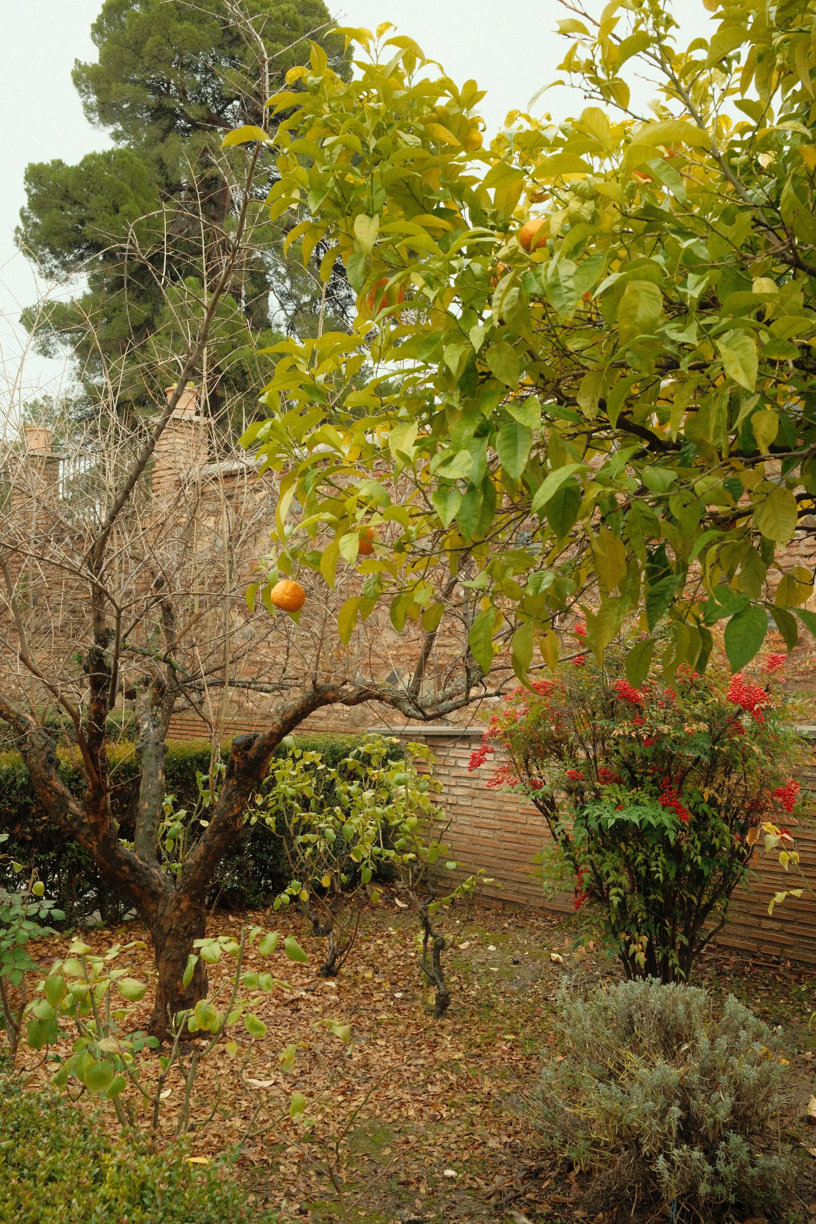 Granada photo 2