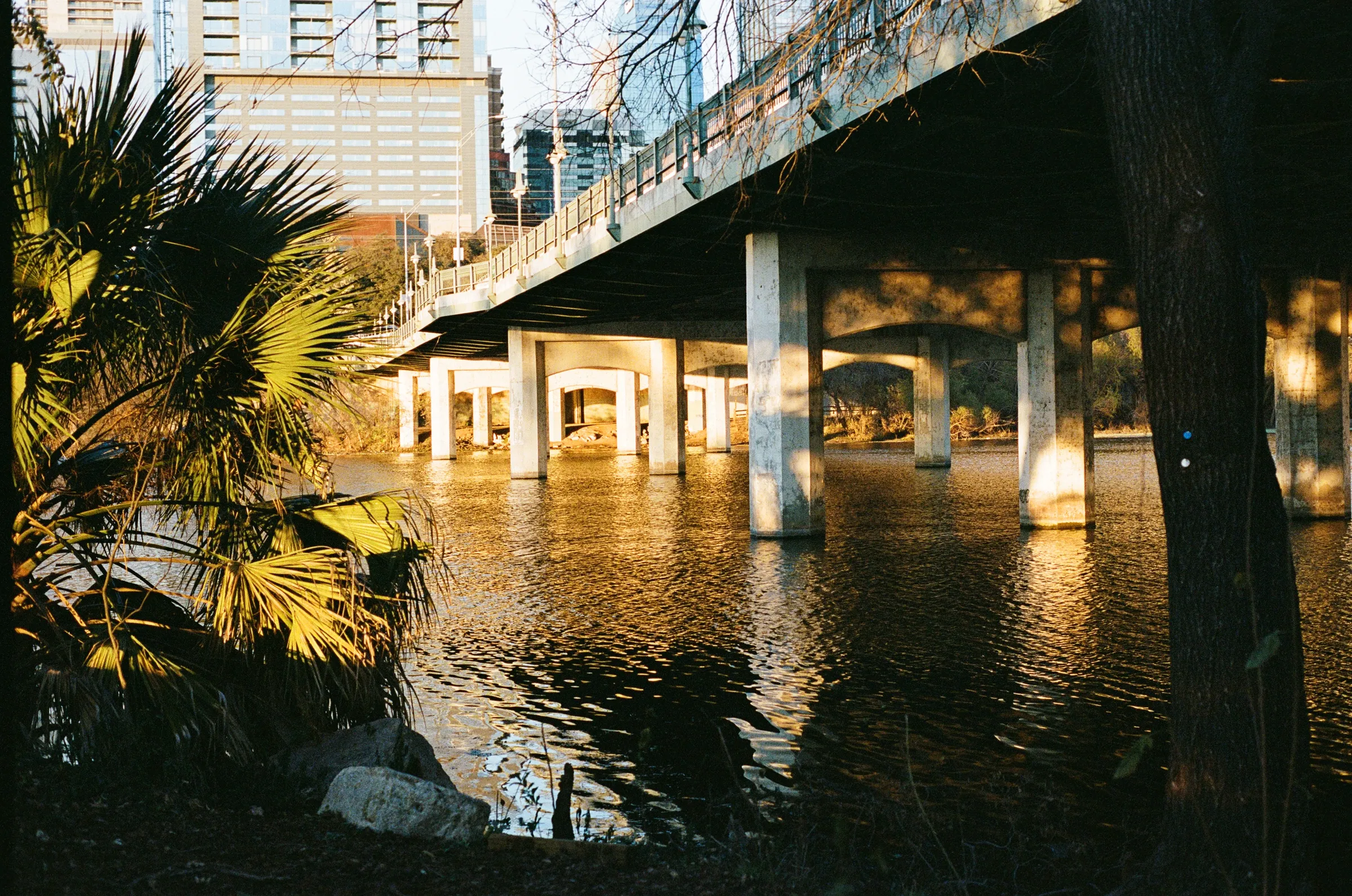 Austin photo 6