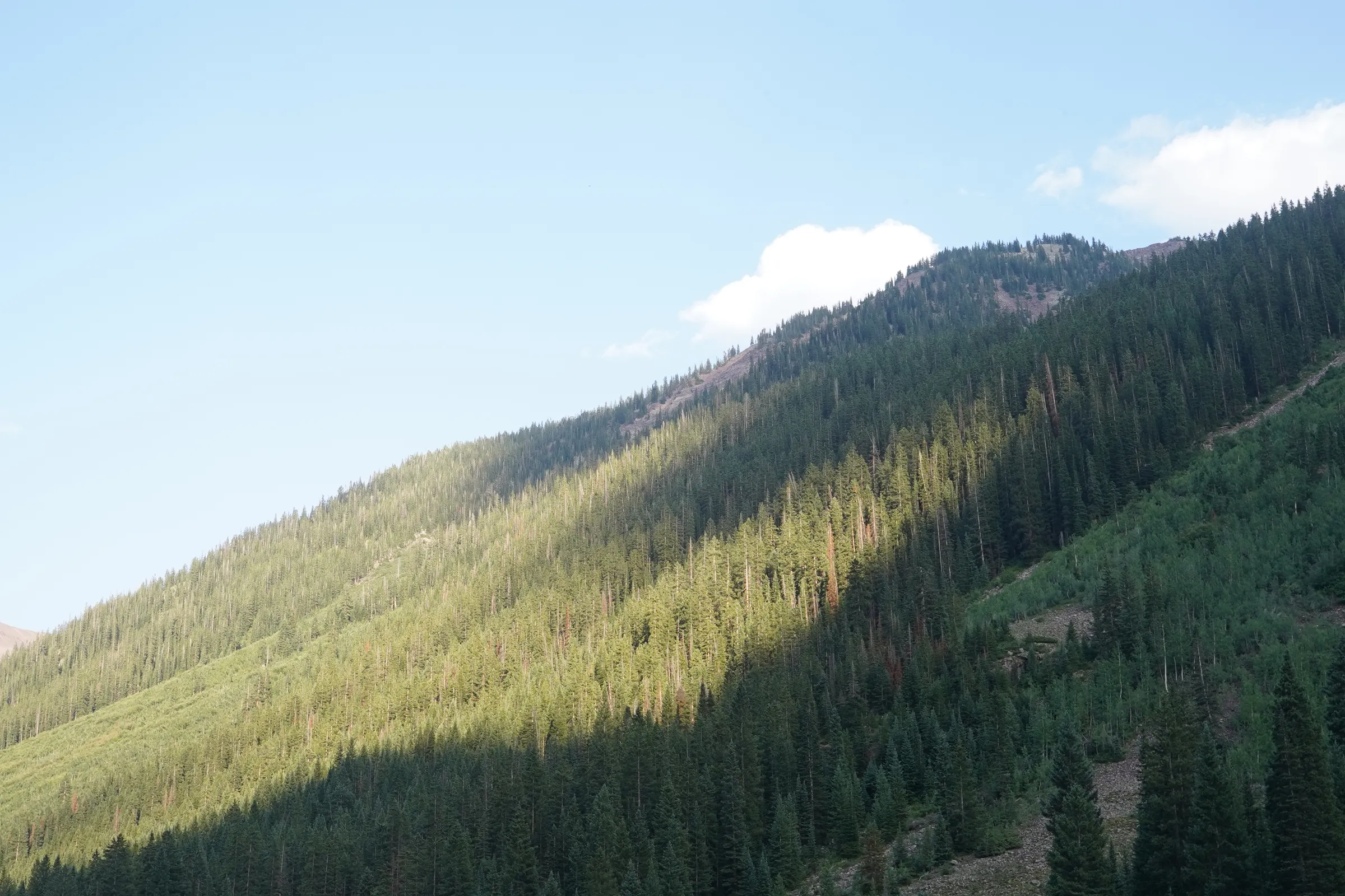 Colorado photo 4