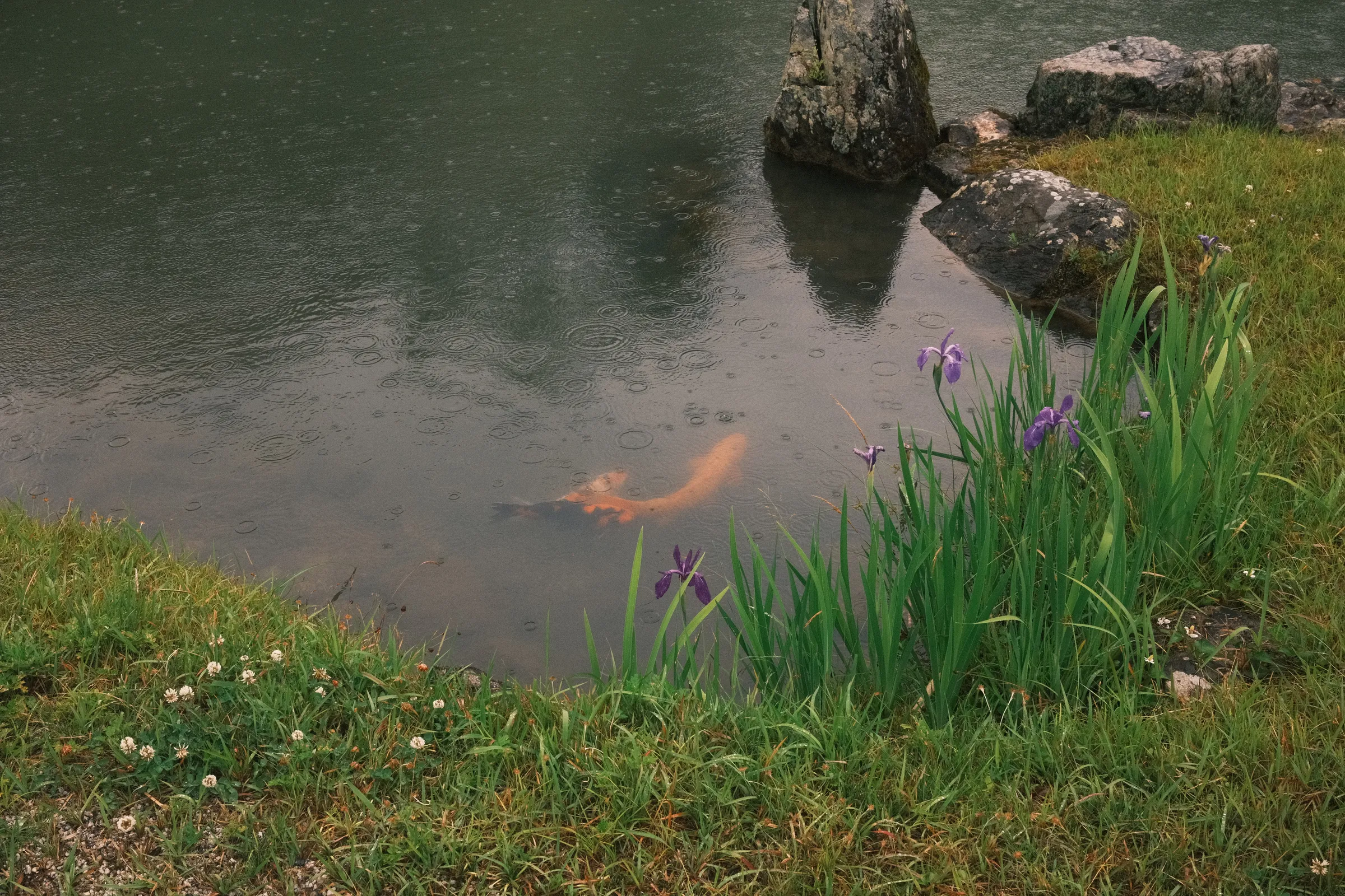 Kyoto photo 5