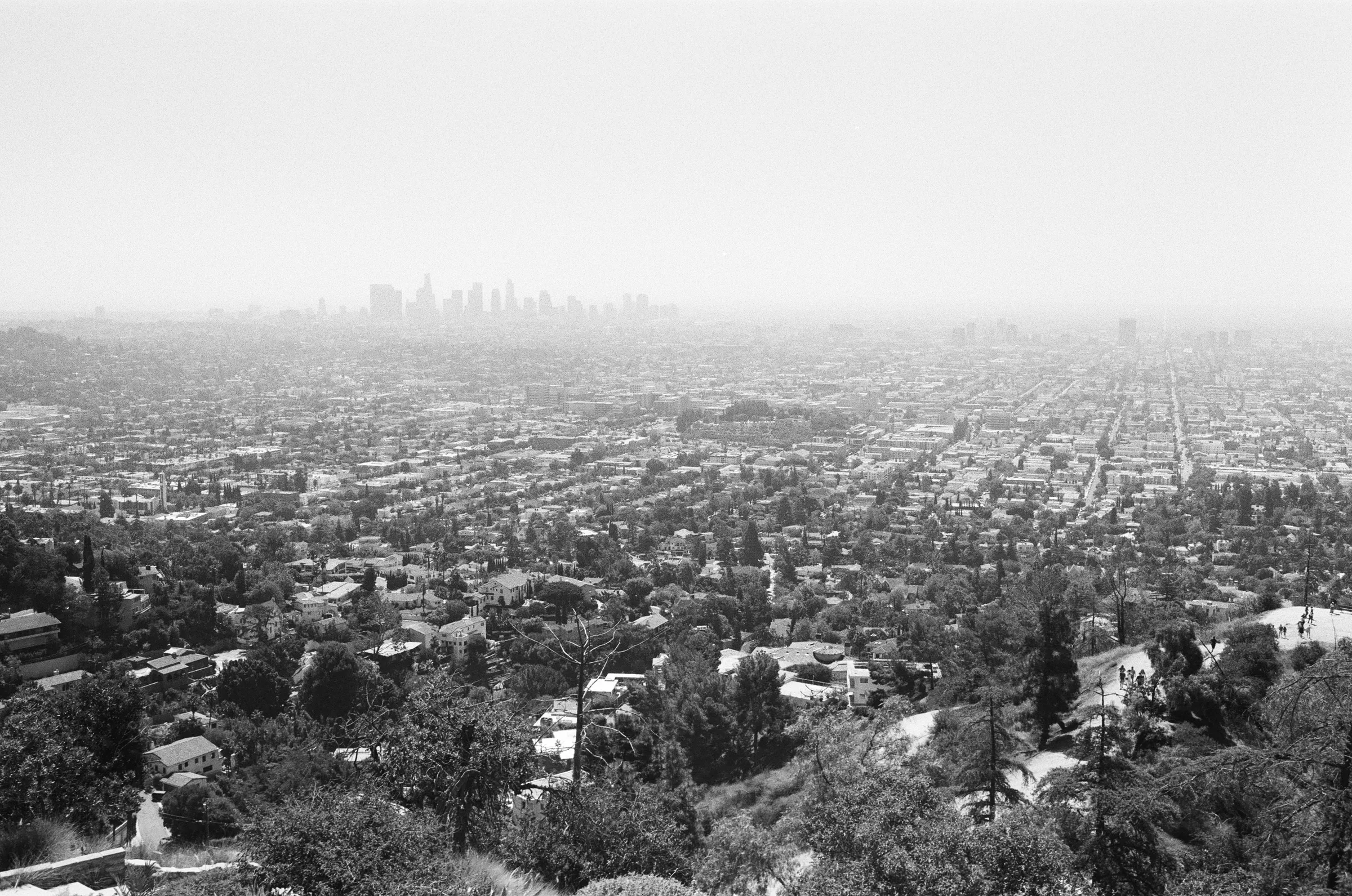 Los Angeles photo 1