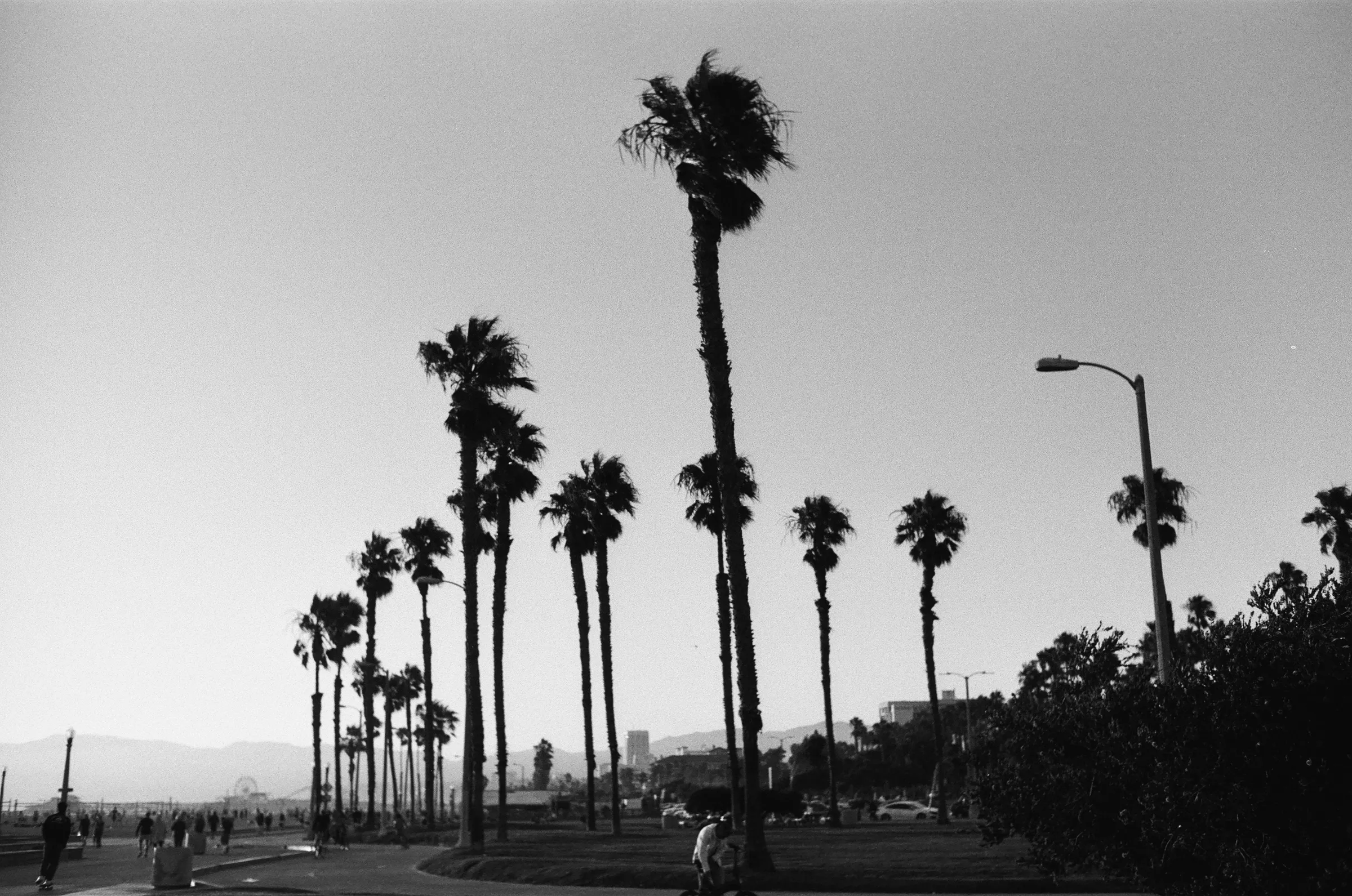 Los Angeles photo 2