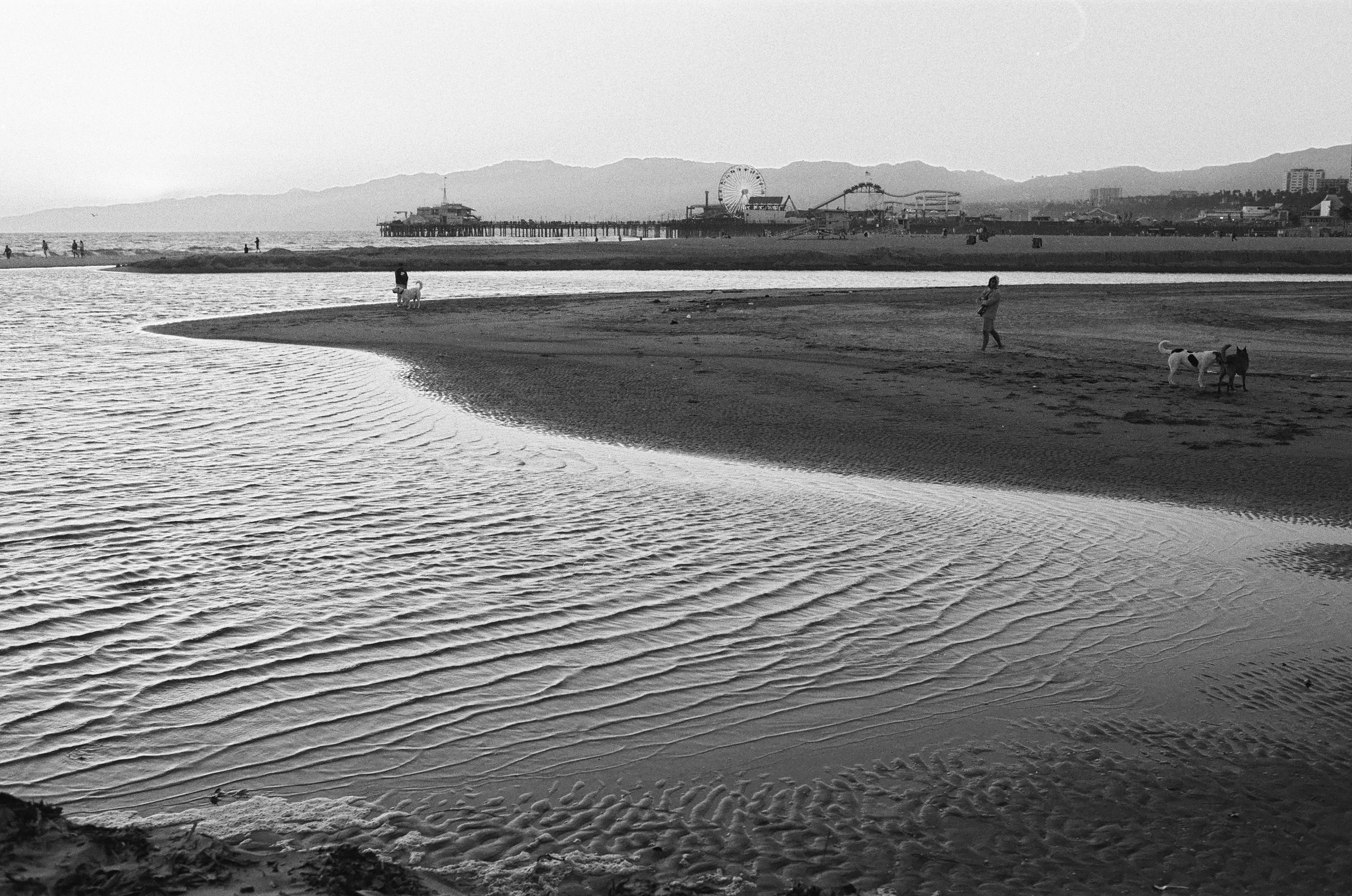 Los Angeles photo 3