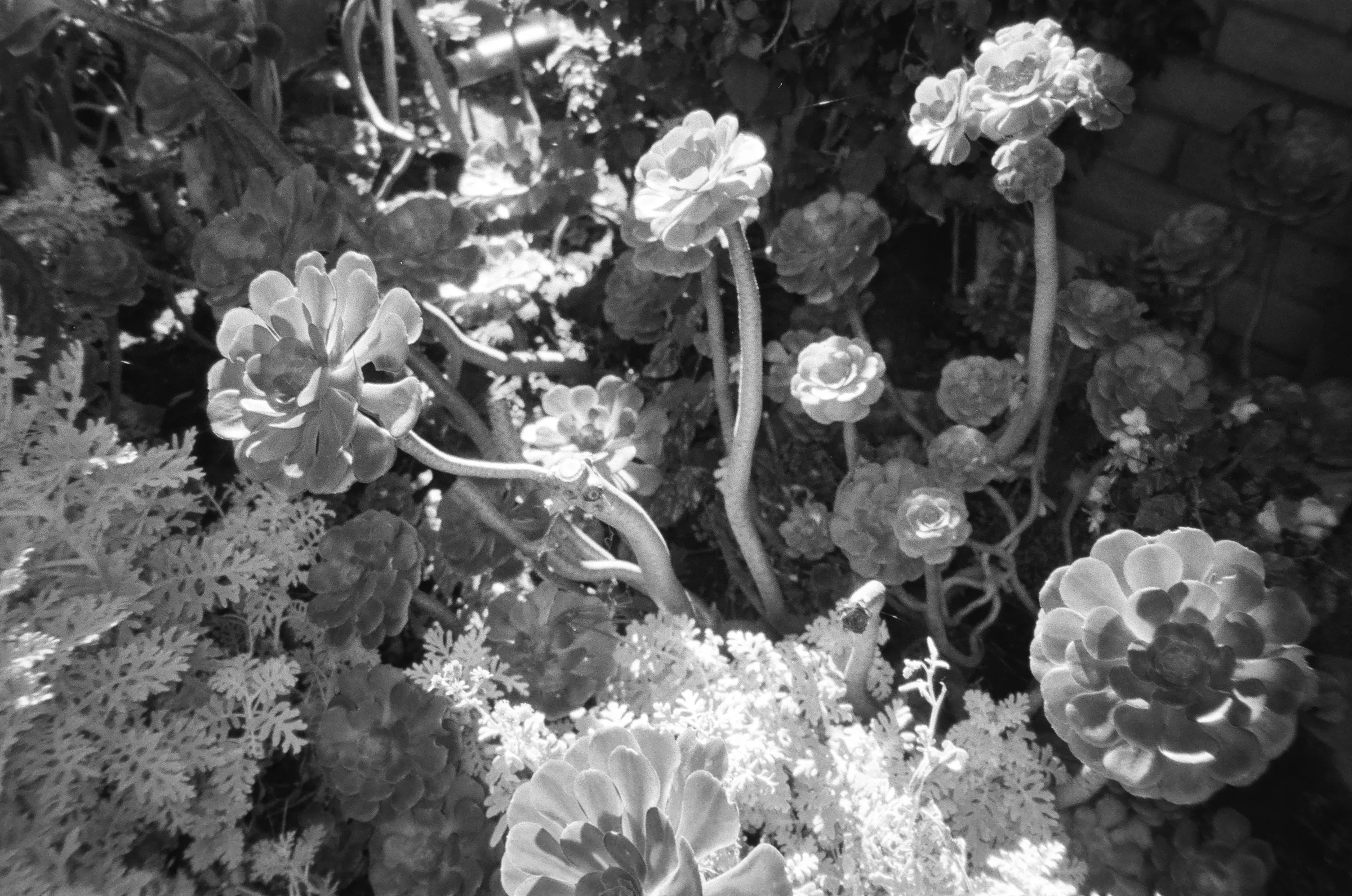 Pacific Coast Highway photo 3