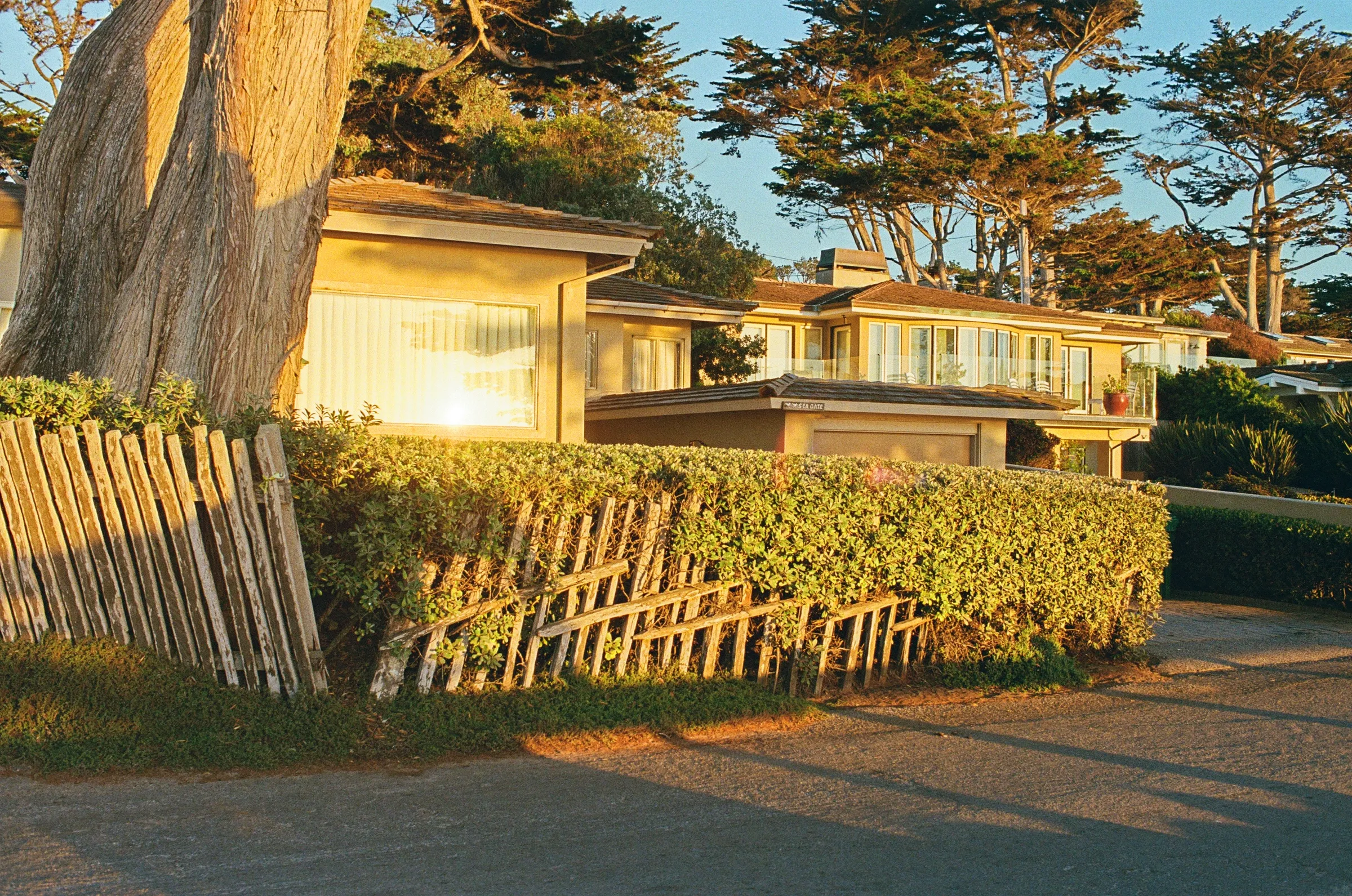 Pacific Coast Highway photo 4