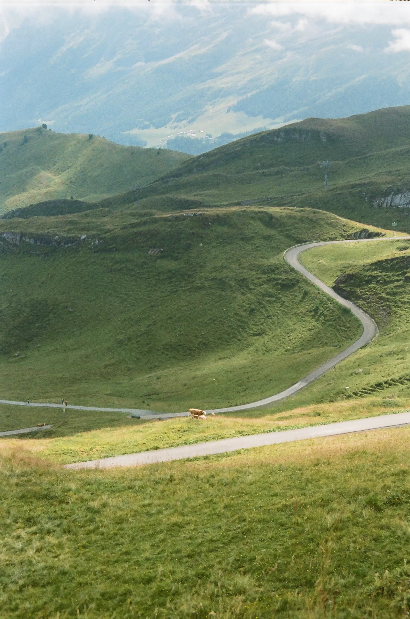 Switzerland photo 5