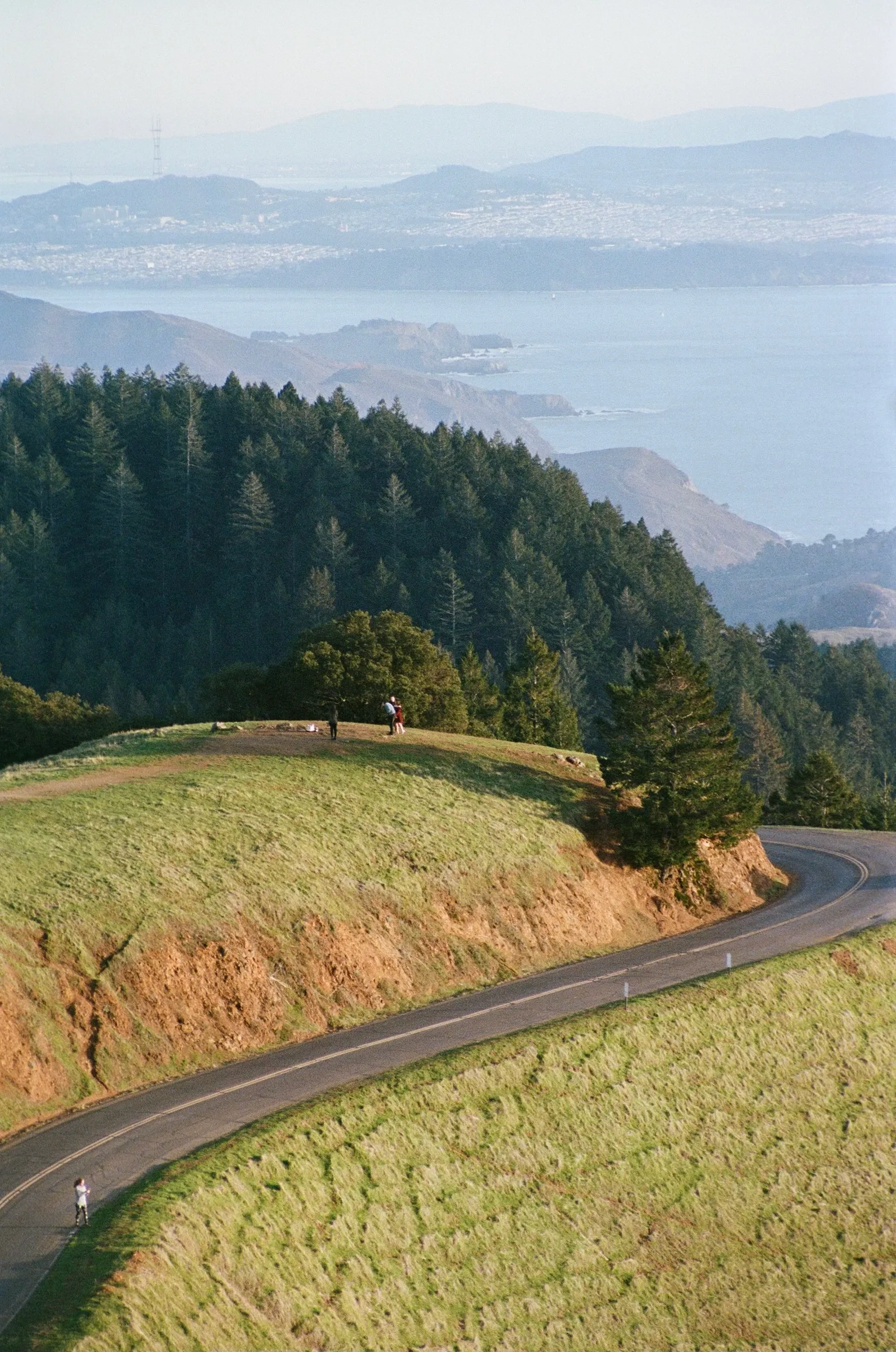 The Bay photo 2