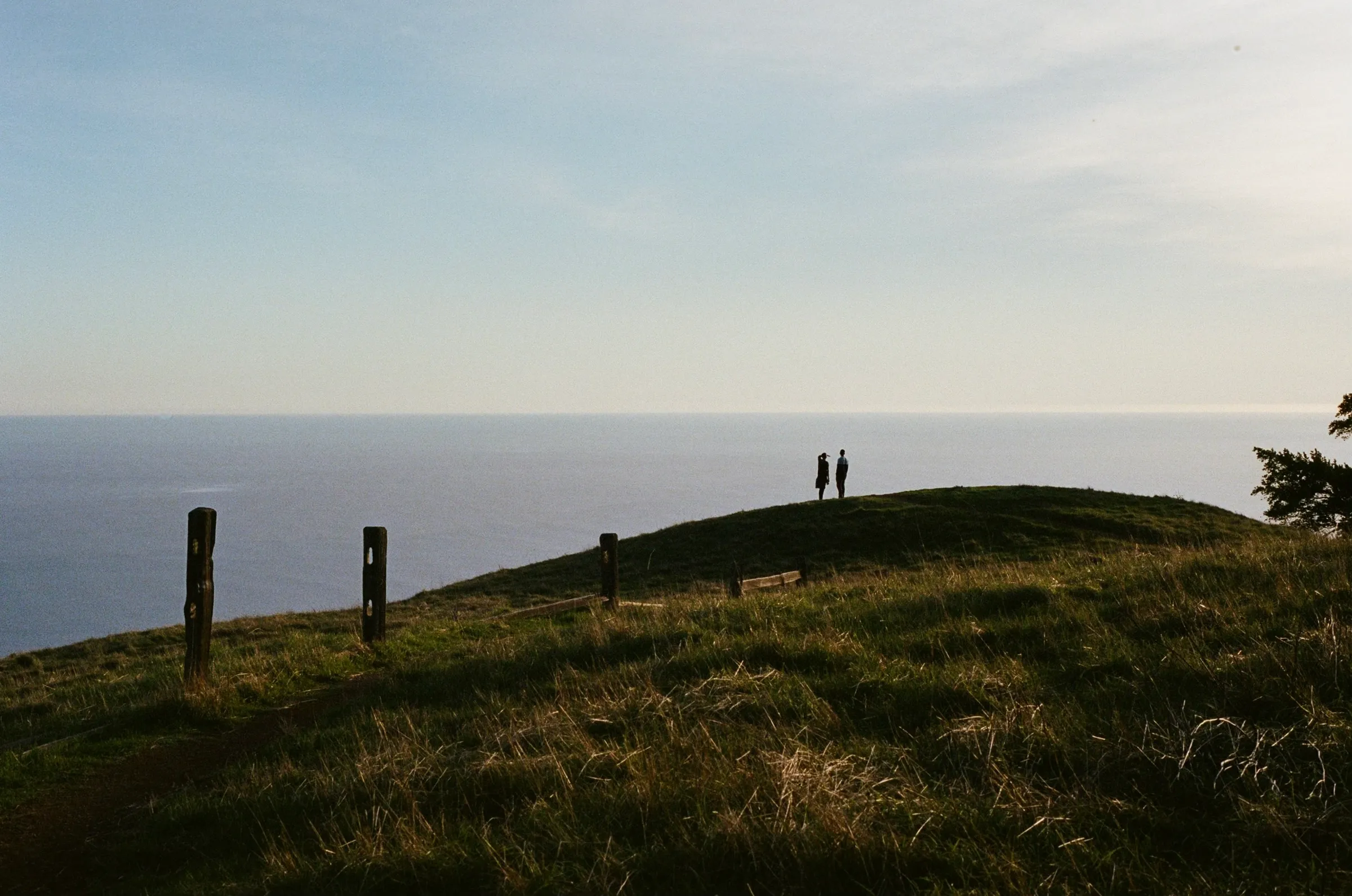The Bay photo 3