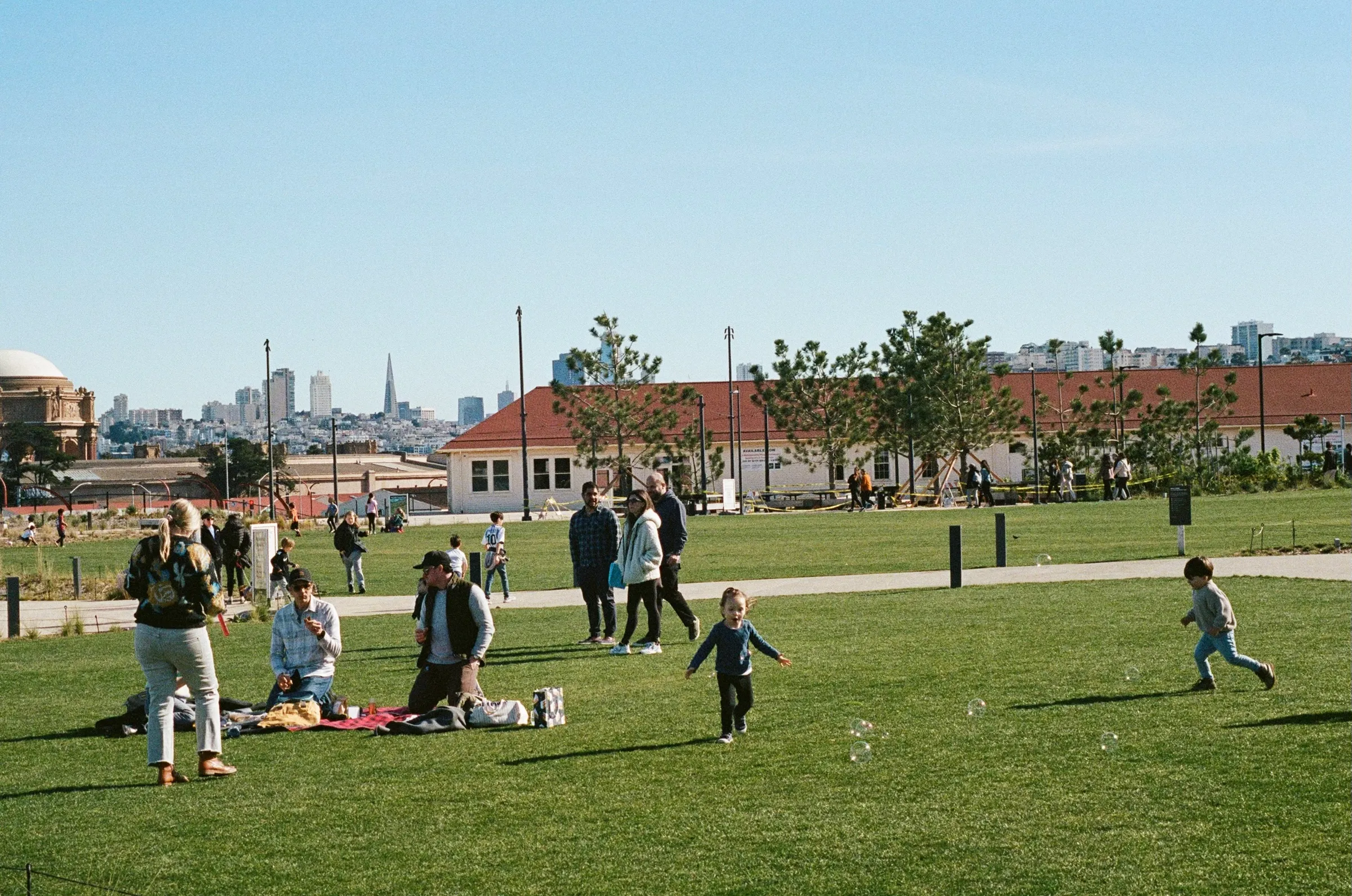 The Bay photo 4