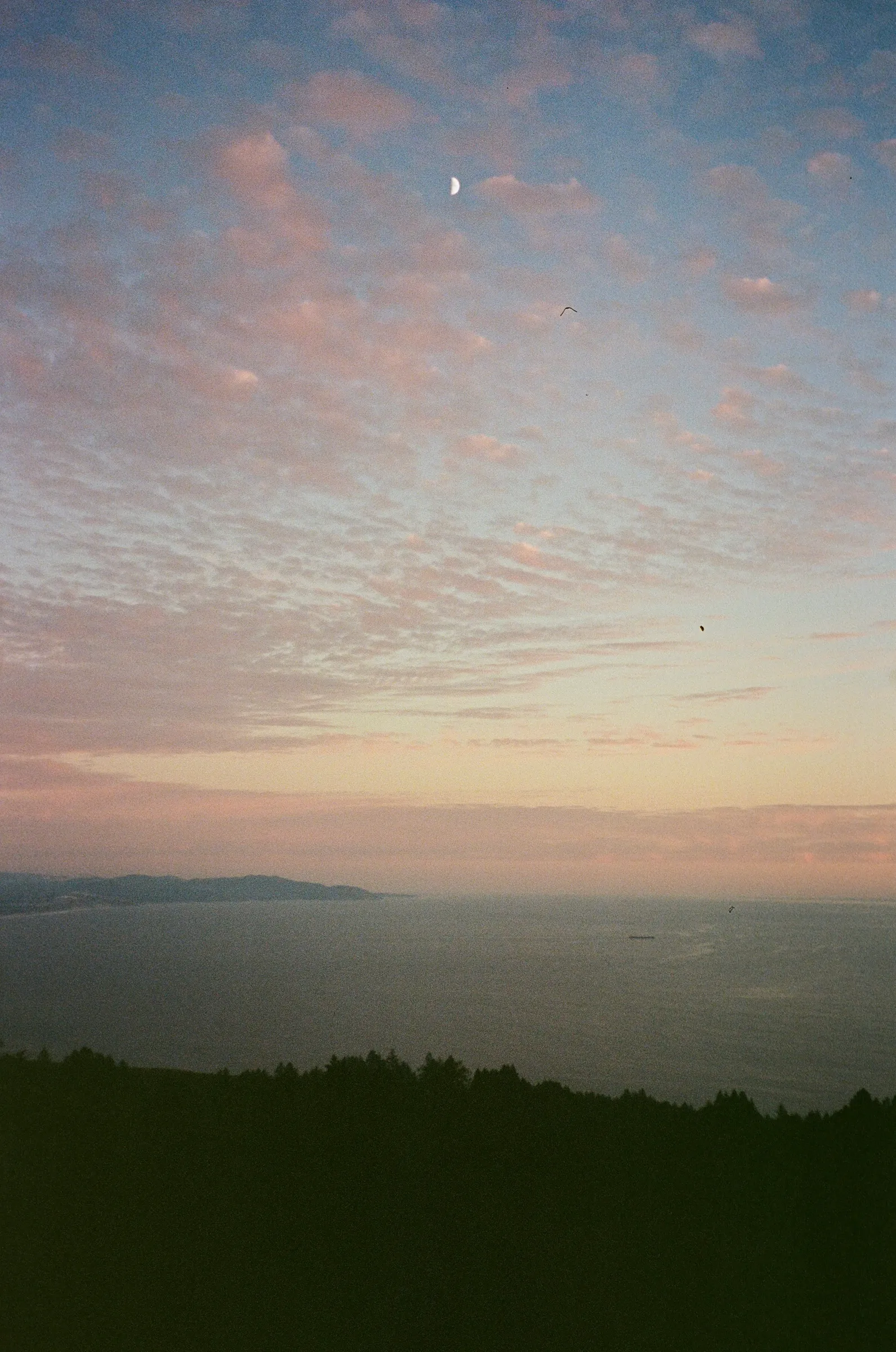 The Bay photo 7
