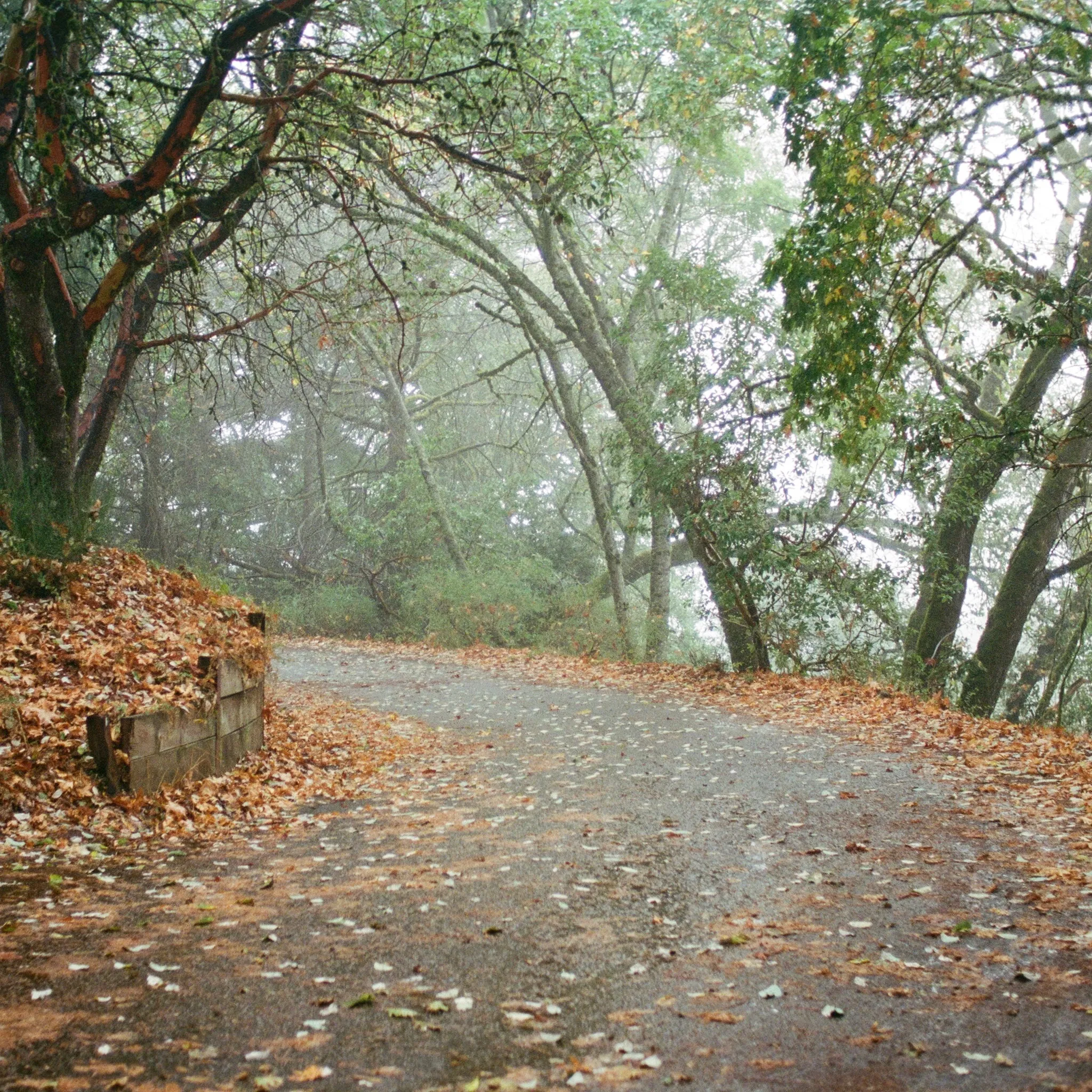 The Bay photo 10