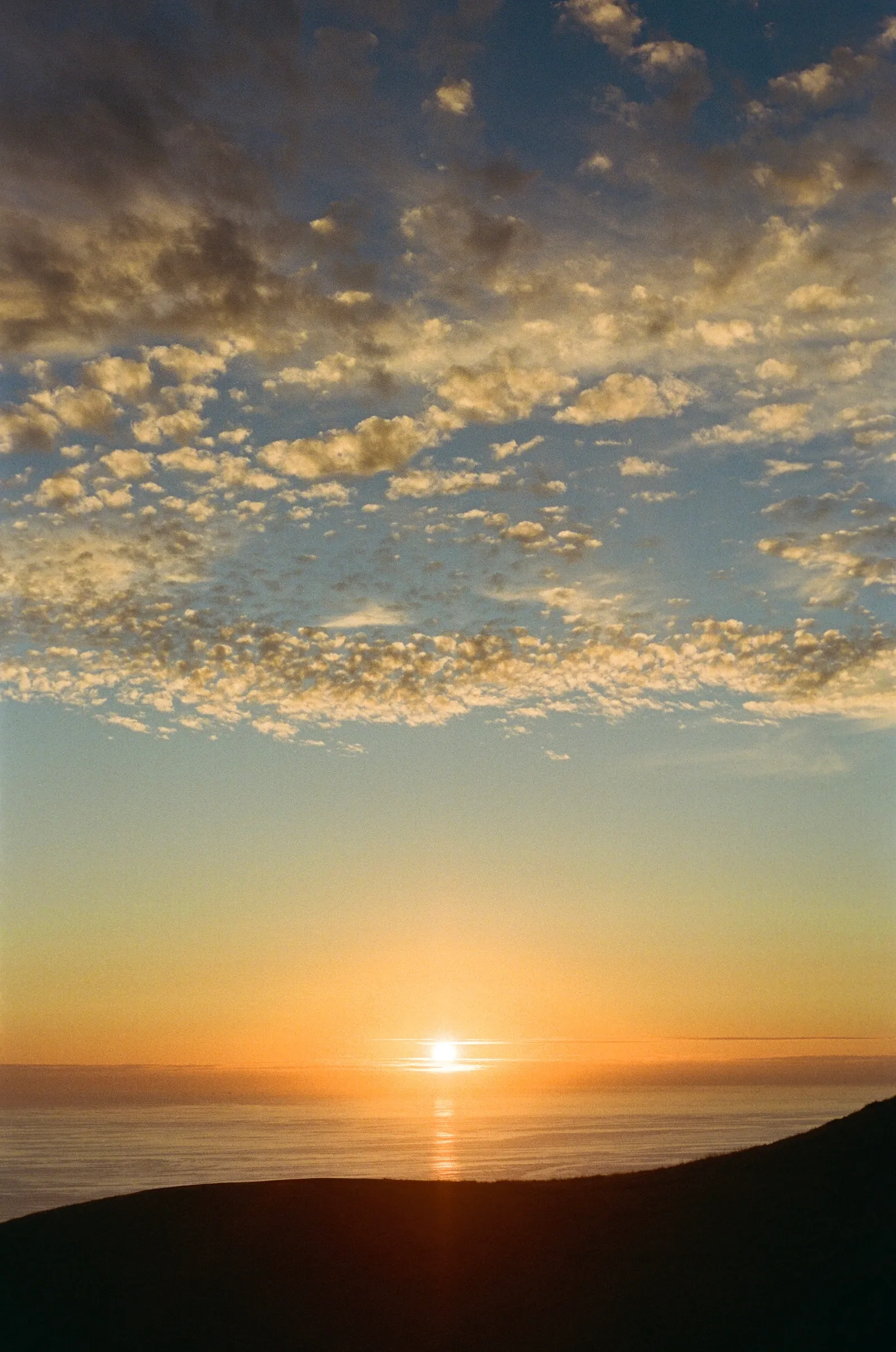The Bay photo 11