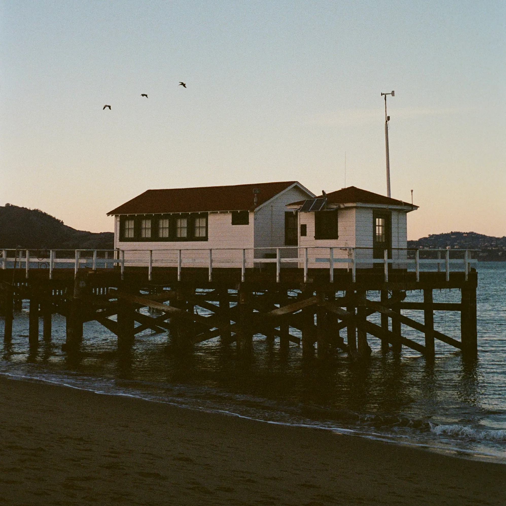 The Bay photo 13