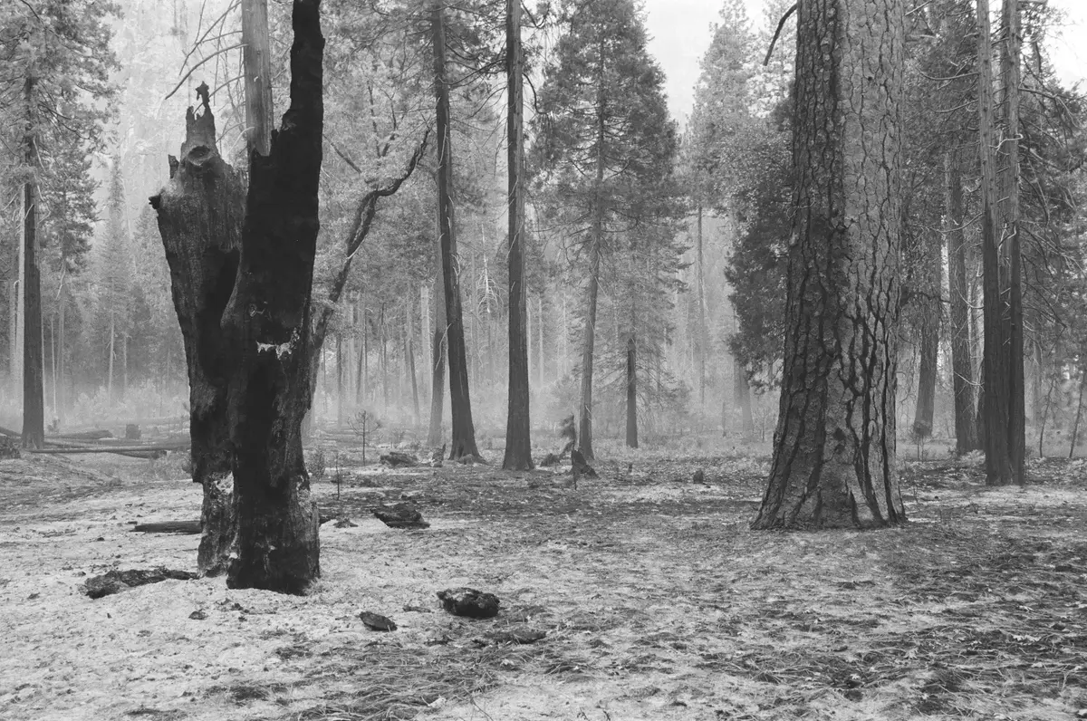 Yosemite Valley cover