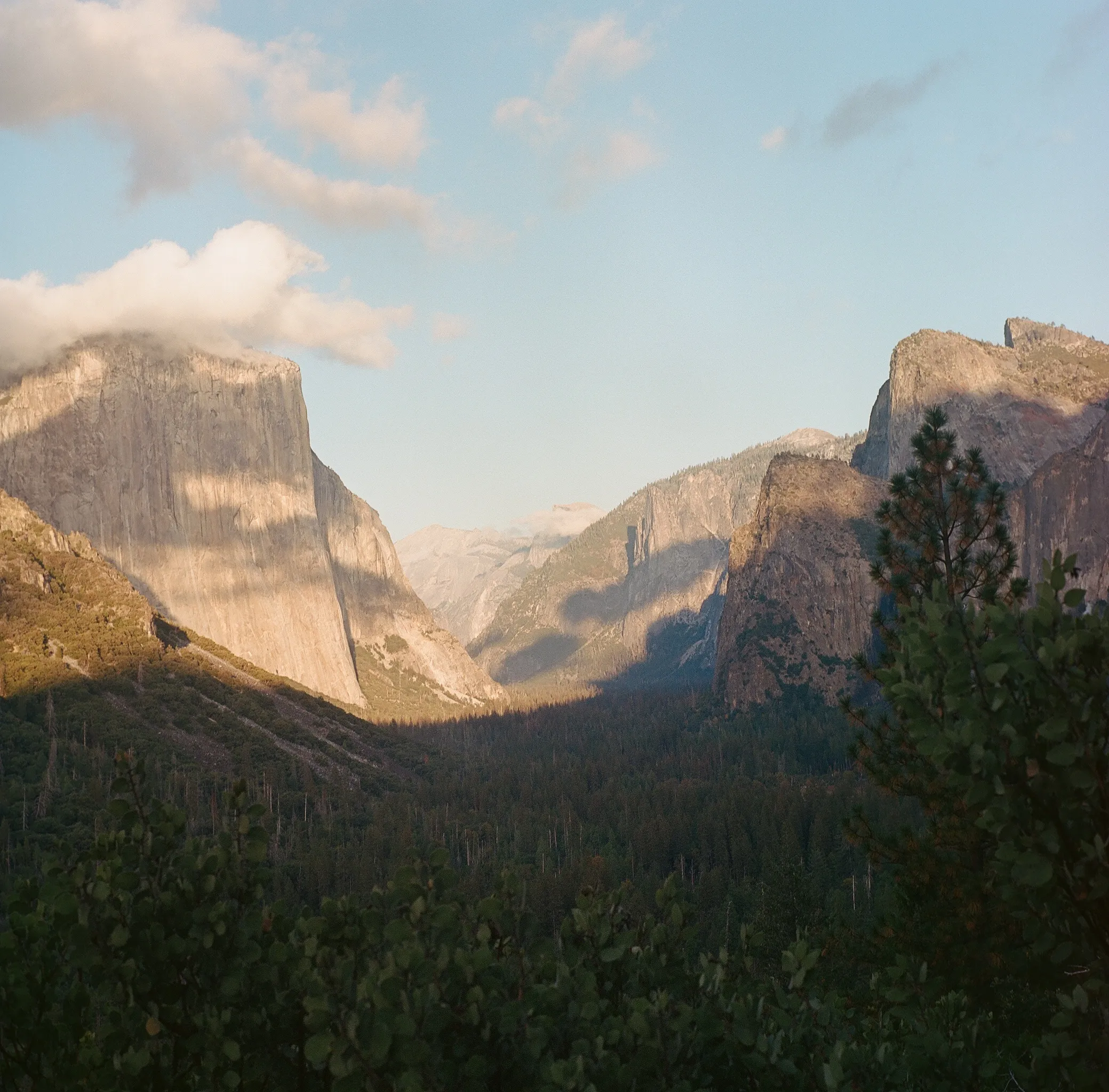 Yosemite Valley photo 3