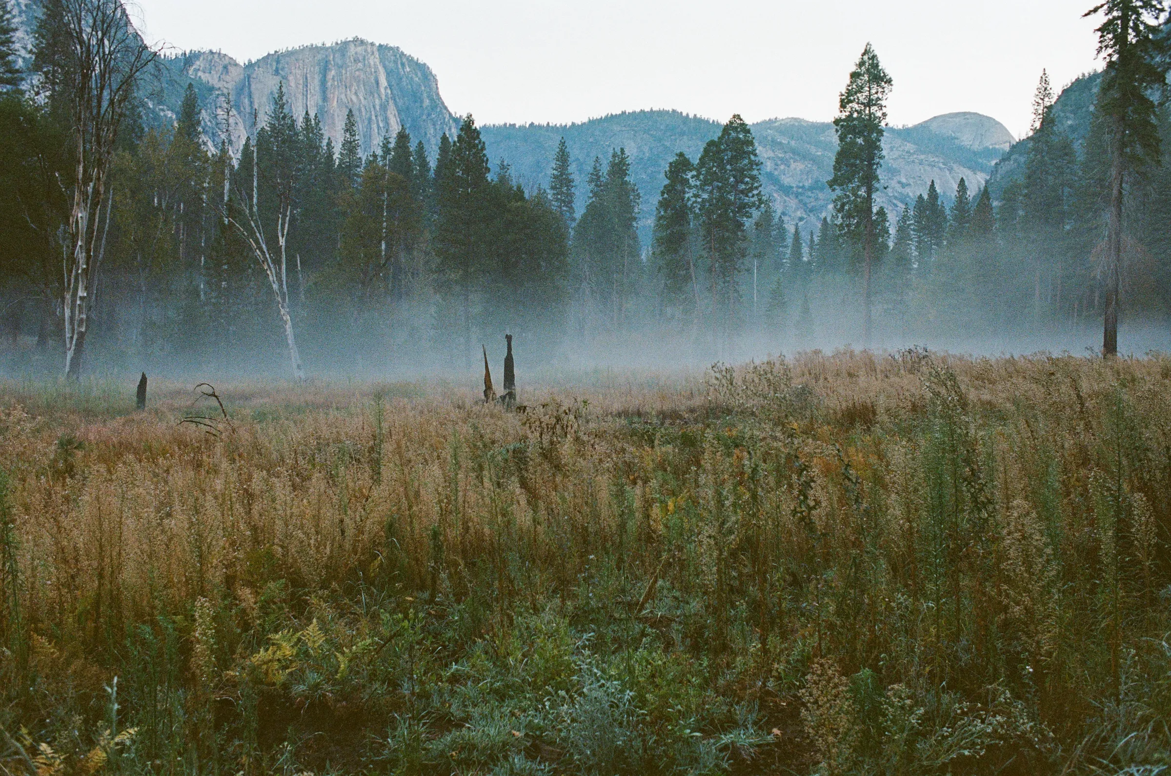 Yosemite Valley photo 6